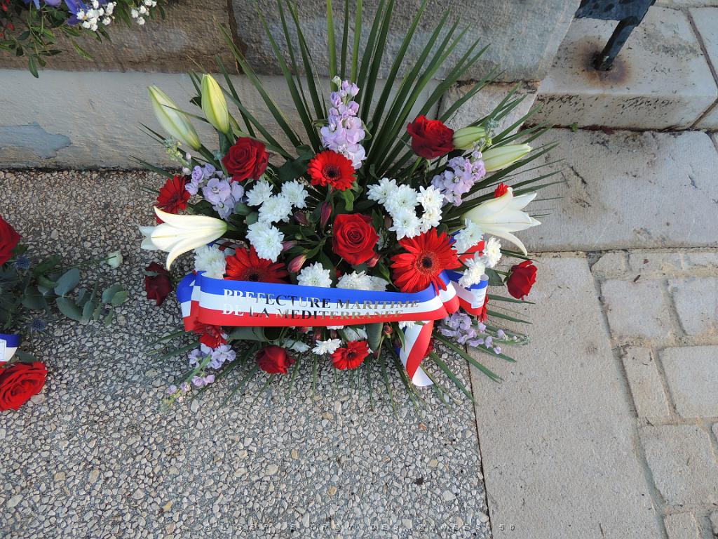2022 12 05 TOULON HOMMAGE AUX MORTS POUR LA FRANCE EN AFN (4).JPG -           